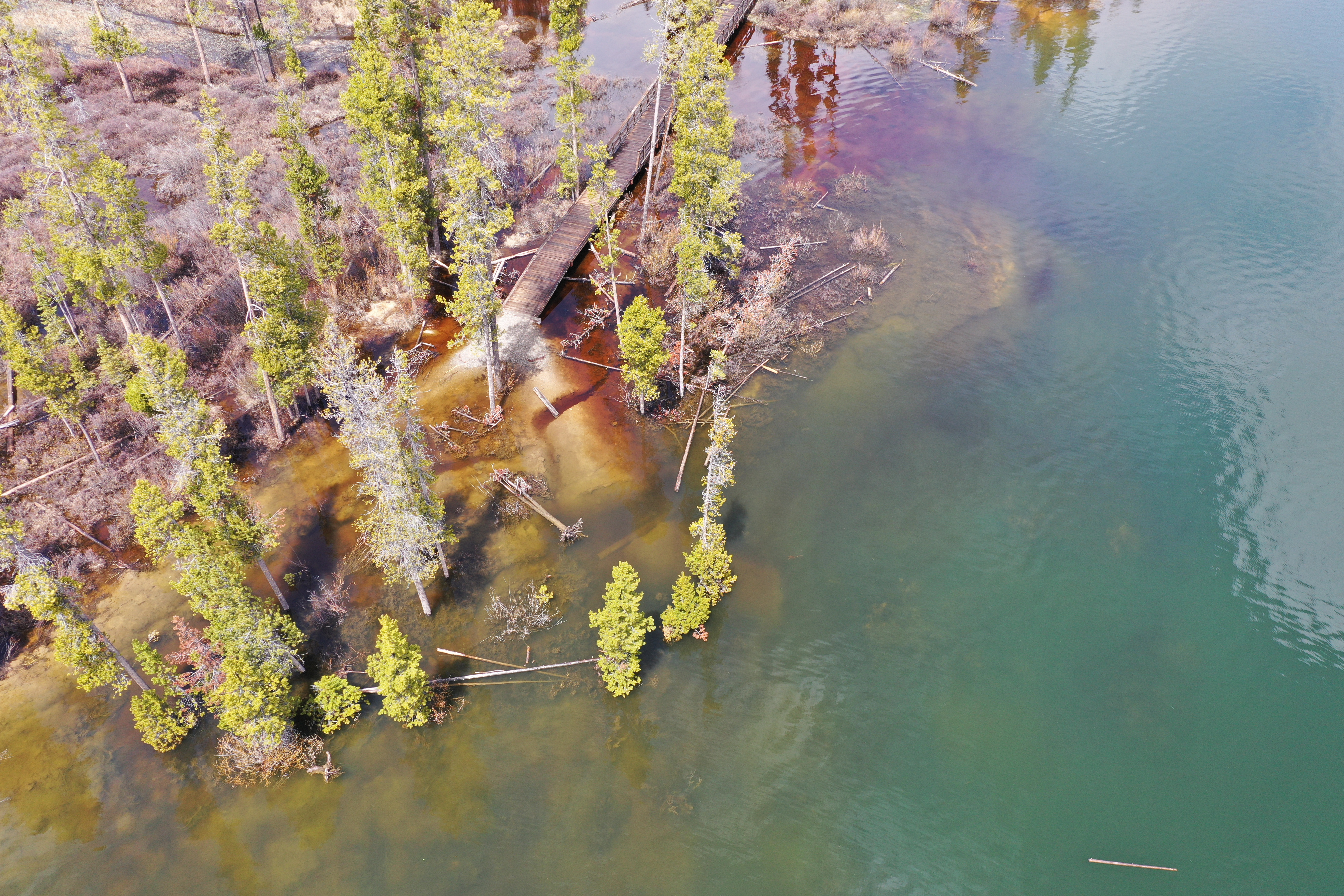 Aerial view of the Stanley Lake shoreline northeast of the inlet, showing subsidence near the boardwalk structure.