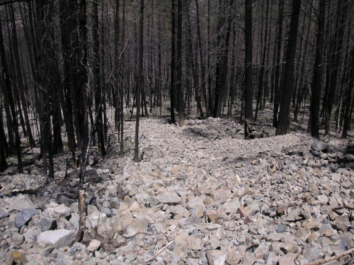 Debris flow filling burnt forest
