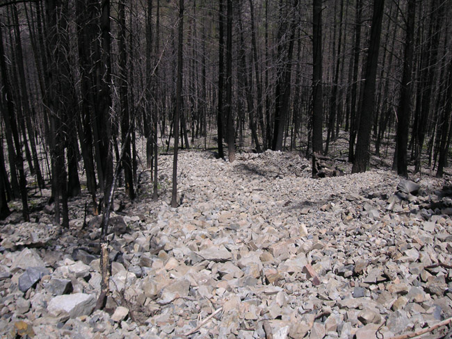 Debris flow deposits along Fourth of July Creek, near Stanley. The forest was burned by wildfire in the fall of 2006. Photo: J. Pierce, Boise State University.