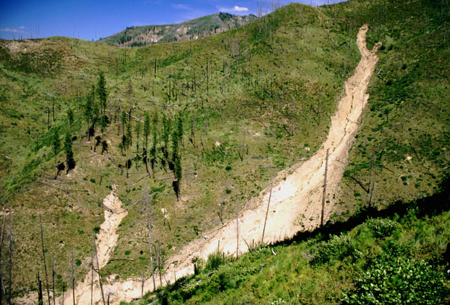 Landslides along the South Fork of the Payette River that were triggered in the winter of 1996-97.