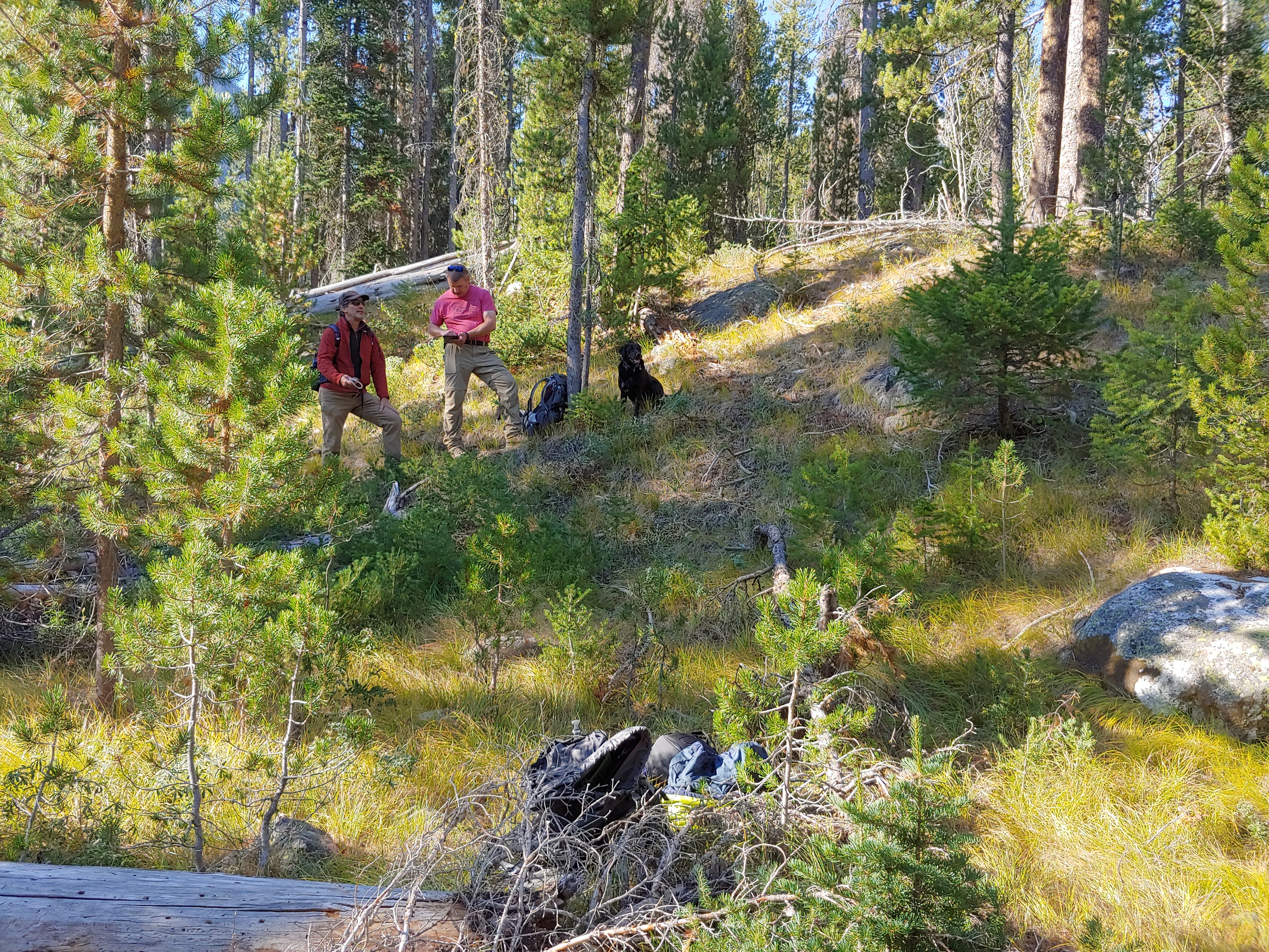 Geologists examine a pre-2020 fault scarp along the Sawtooth
fault.